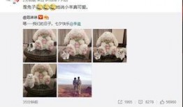 李晨最近的爆料视频播放,娱乐圈幕后真相大曝光！