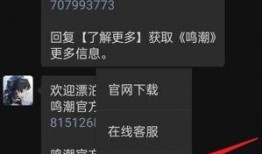 鸣潮最新爆料1.2几号更新,全新内容与优化，精彩不容错过！